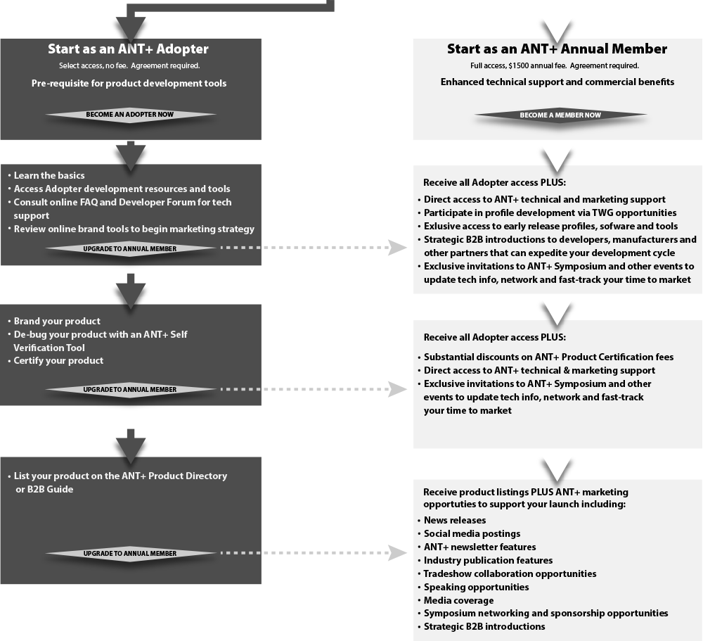 Getting Started THIS IS ANT