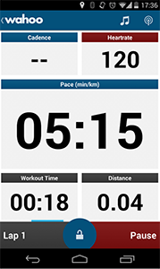 Wahoo fitness tracker online