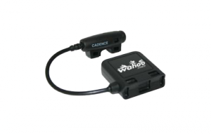 Wahoo speed and cadence sensor hot sale