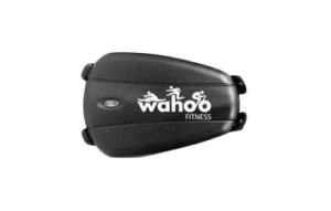 Wahoo Stride Sensor THIS IS ANT